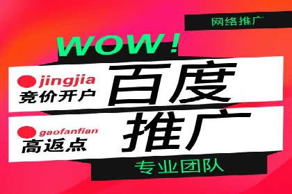 百度推广广告案例：快速抢占市场份额